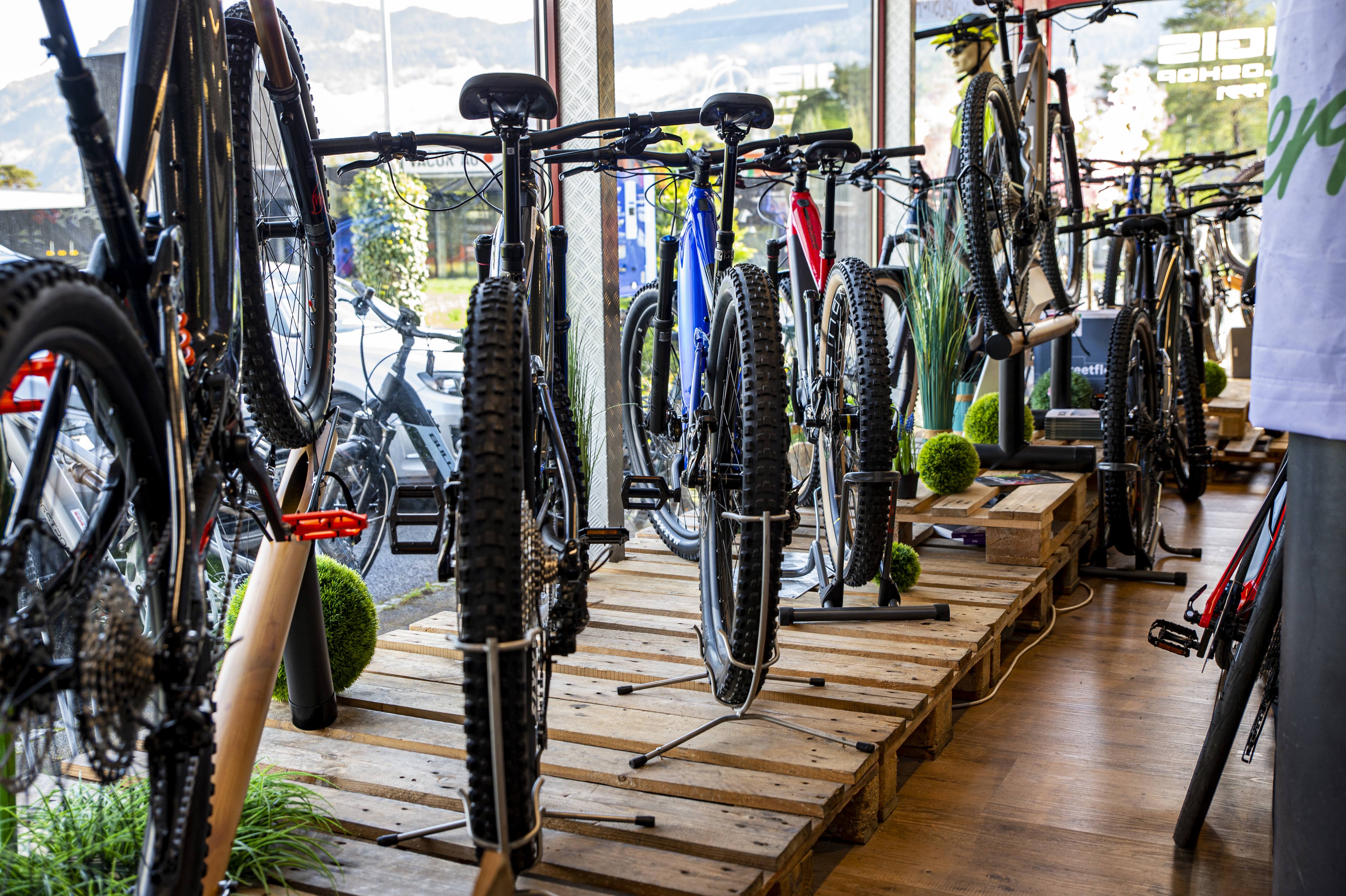 Welches E-Bike passt zu mir?