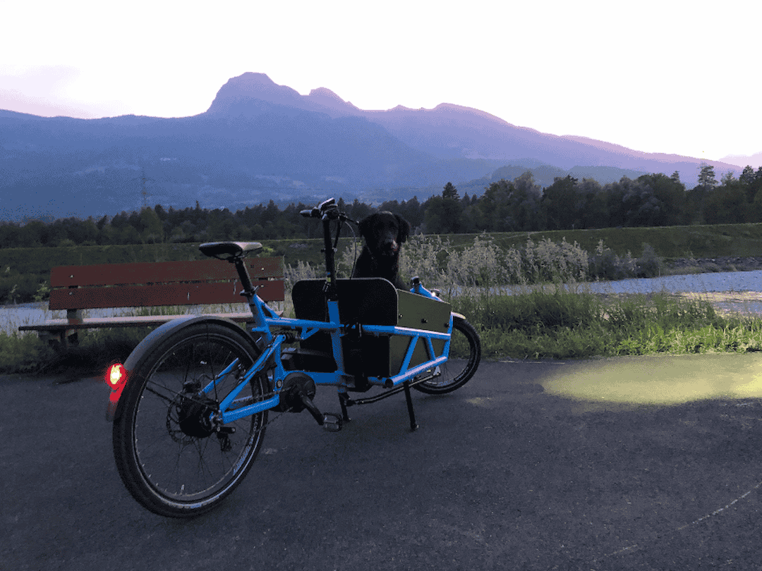 Noah Hasler Fahrradmechaniker