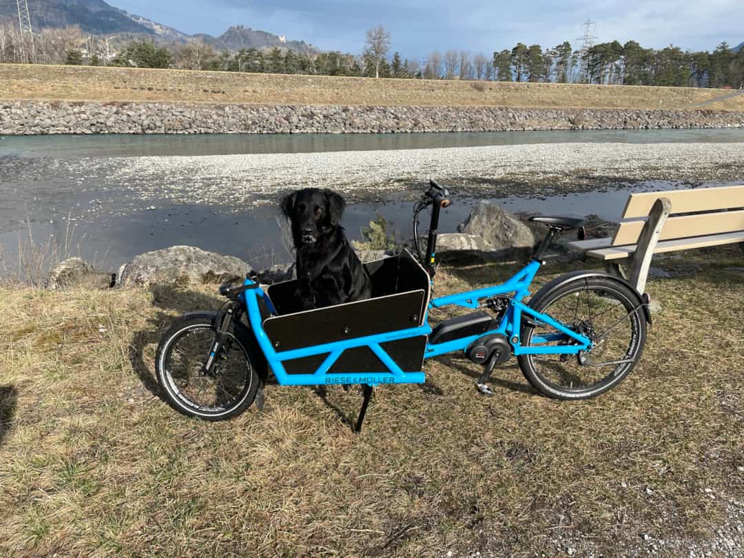 Lass dich vom Cargo-Bike begeistern
